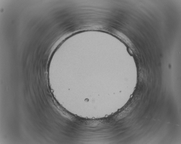 X0000067891332200605111841