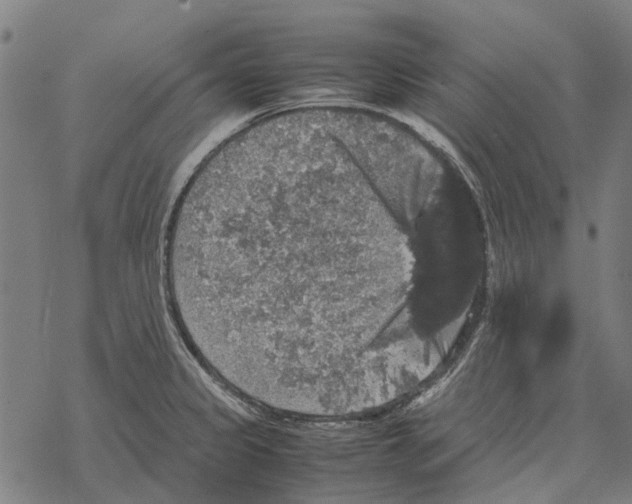 X0000067891333200605111841