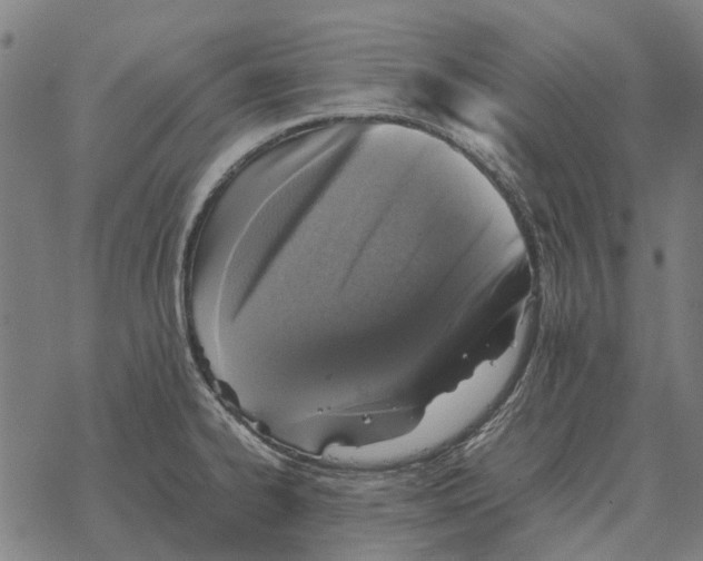 X0000067891334200605111841