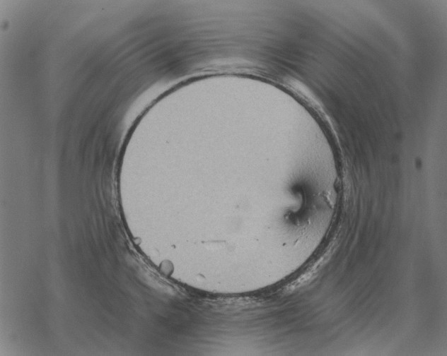 X0000067891336200605111841