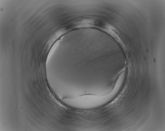 X0000067891337200605111841