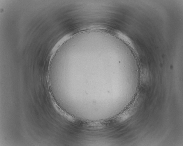 X0000067891338200605111841