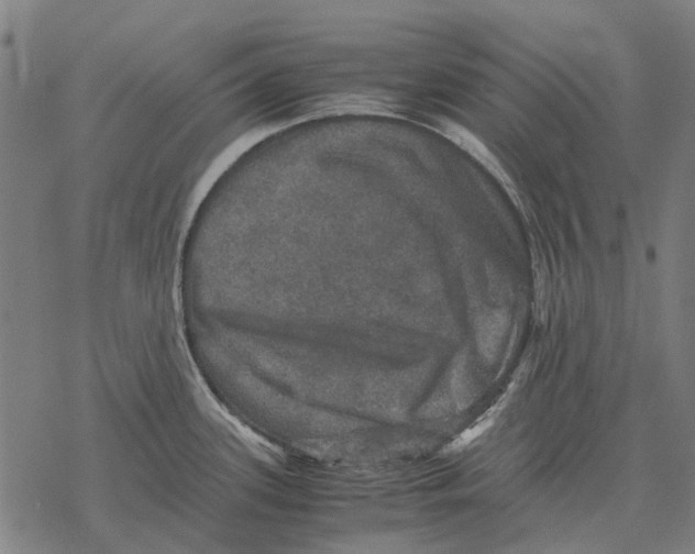 X0000067891339200605111841