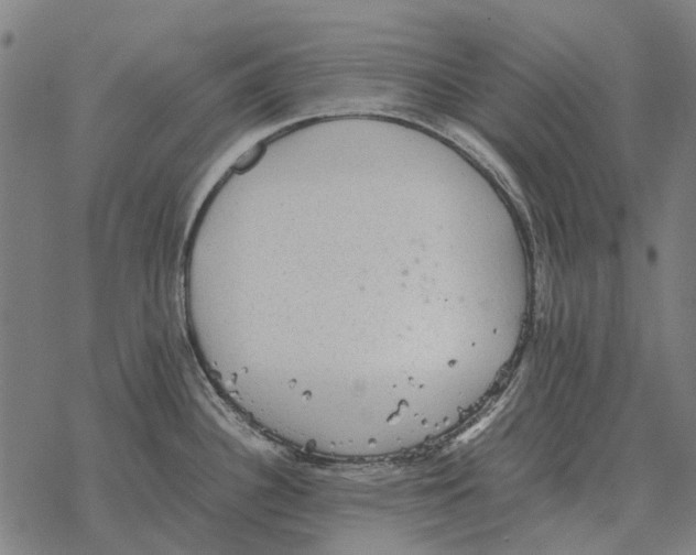 X0000067891340200605111841