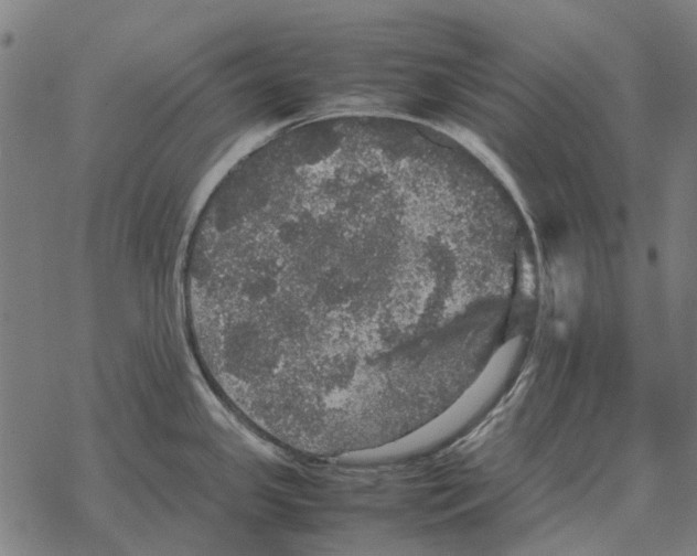 X0000067891341200605111841