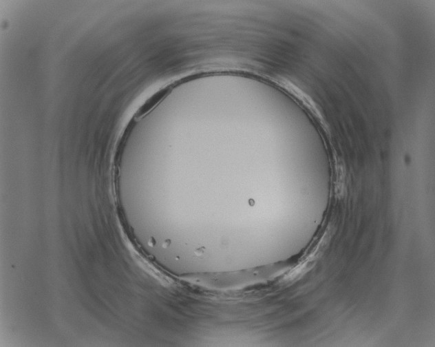 X0000067891342200605111841