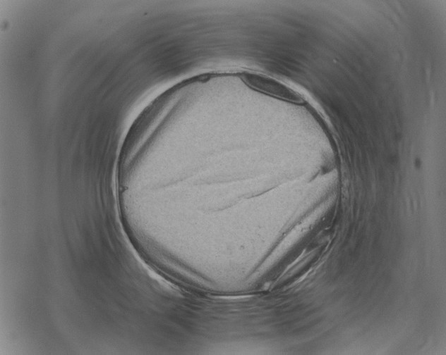 X0000067891343200605111841