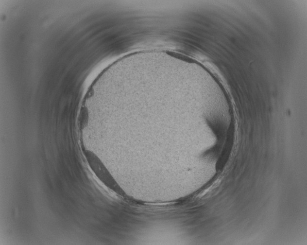 X0000067891344200605111841