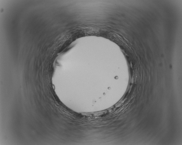 X0000067891345200605111840