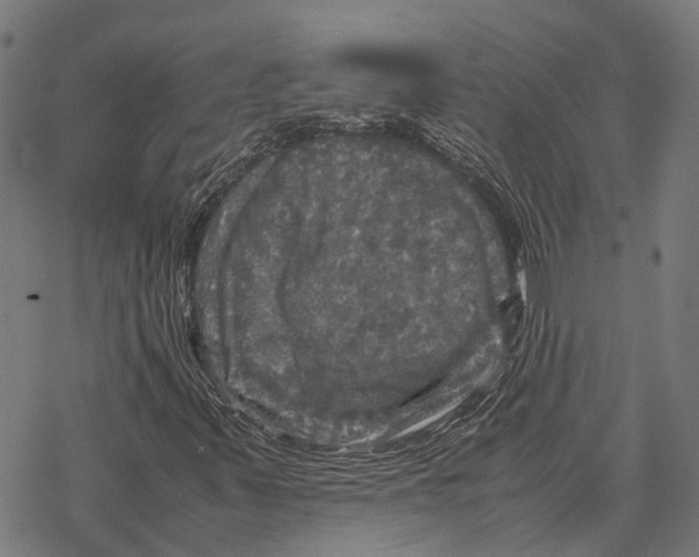 X0000067891347200605111840