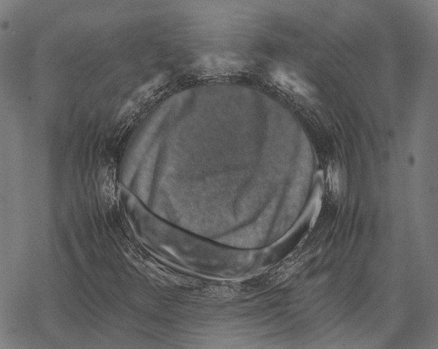 X0000067891348200605111840