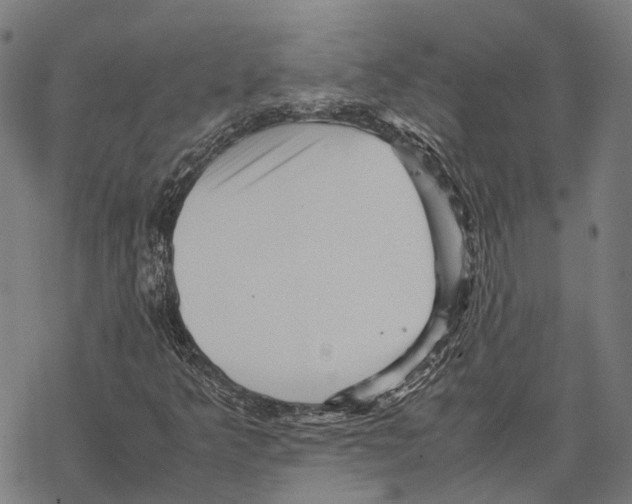 X0000067891349200605111840