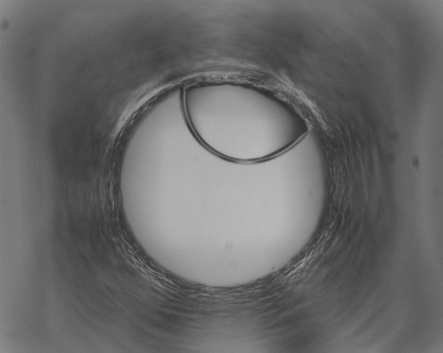 X0000067891352200605111840