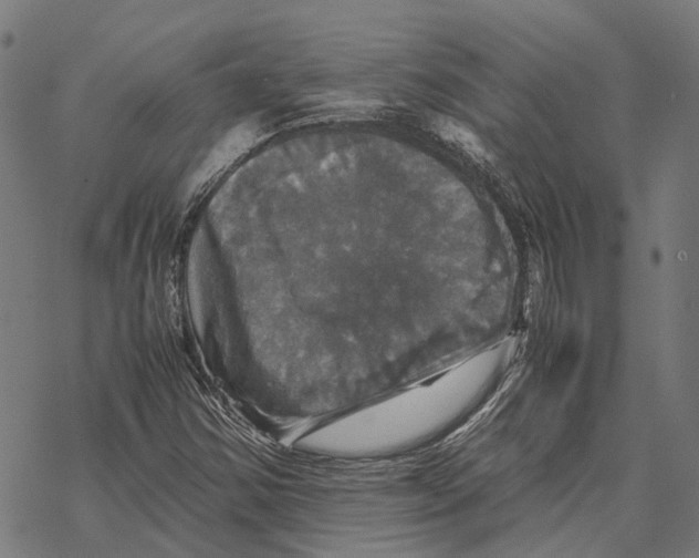 X0000067891354200605111840