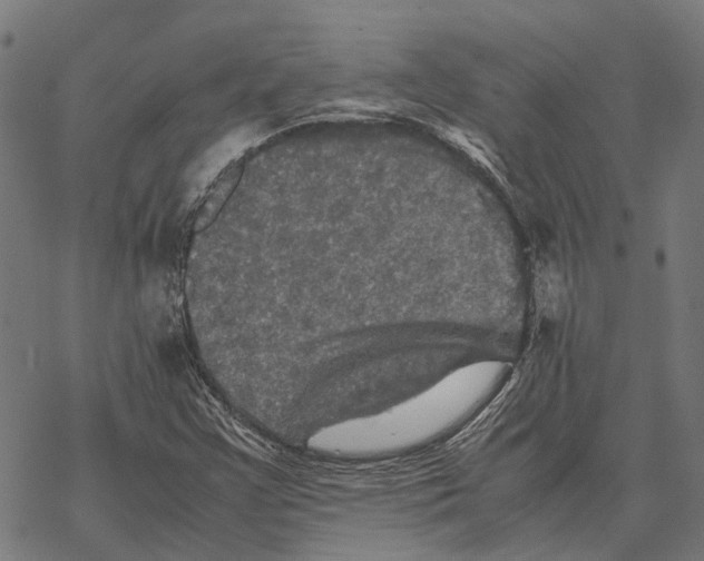 X0000067891355200605111840