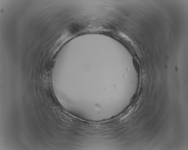 X0000067891361200605111840