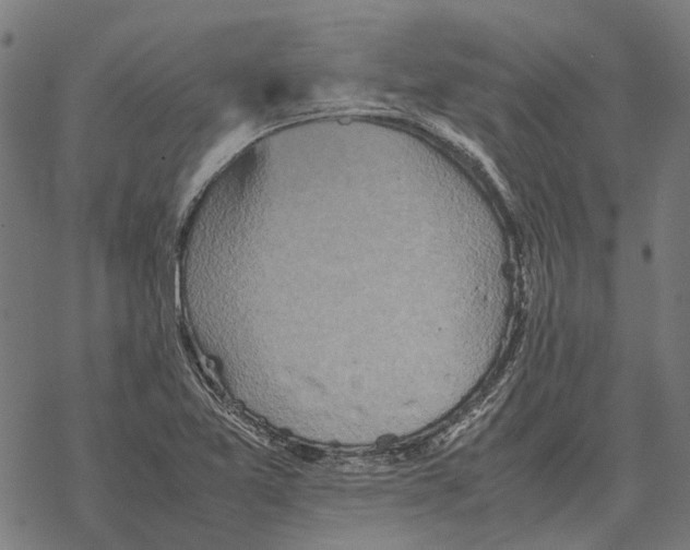 X0000067891365200605111840