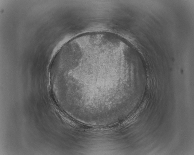 X0000067891366200605111840