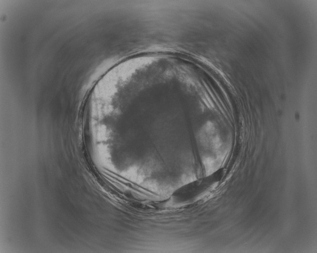 X0000067891367200605111840