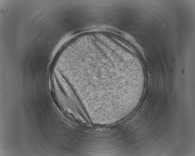 X0000067891368200605111840