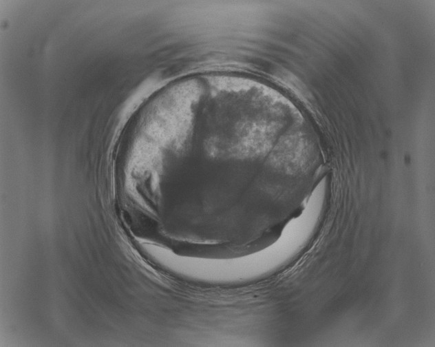 X0000067891371200605111840