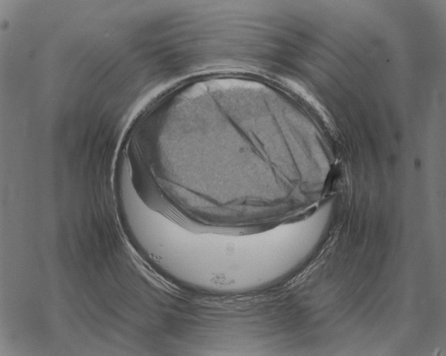 X0000067891372200605111840