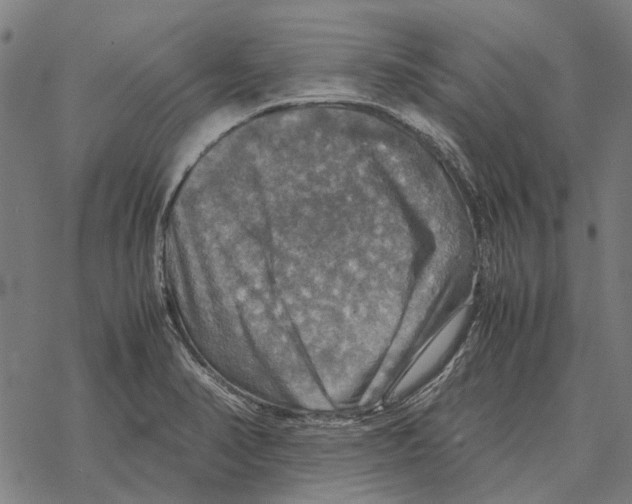 X0000067891374200605111840