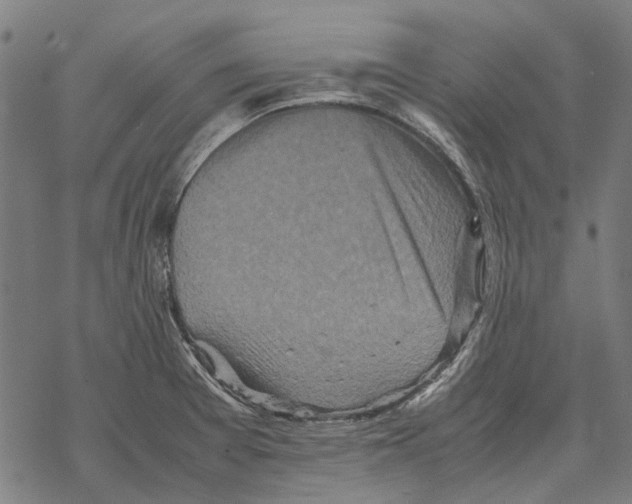 X0000067891377200605111840