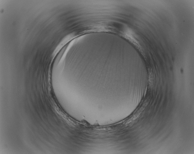 X0000067891378200605111840