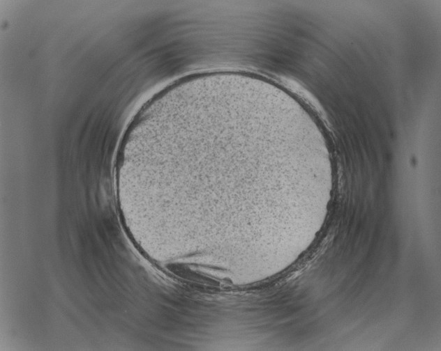 X0000067891380200605111840