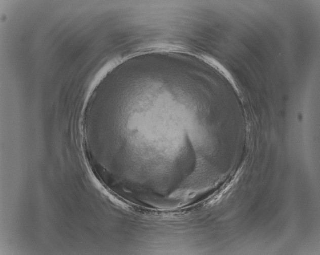 X0000067891381200605111840