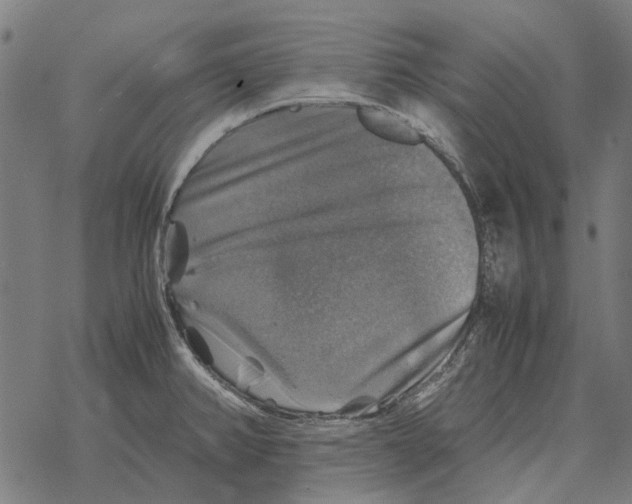 X0000067891382200605111840