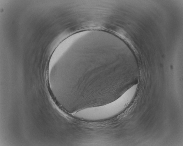 X0000067891383200605111840