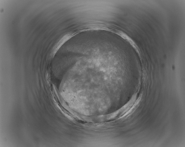 X0000067891385200605111840