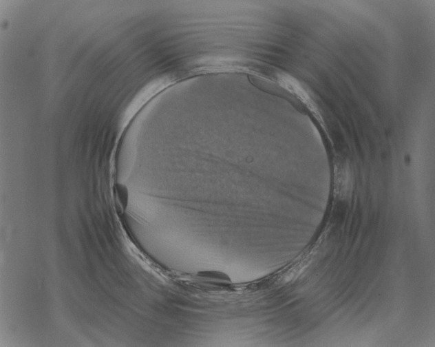 X0000067891386200605111840