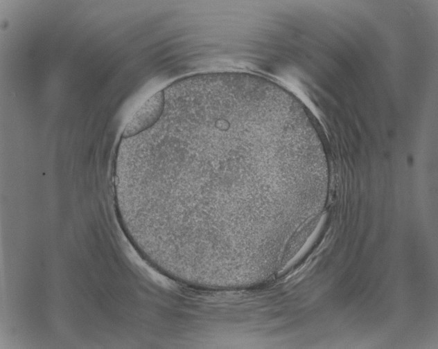 X0000067891387200605111840