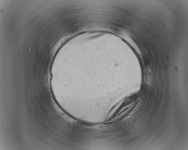 X0000067891388200605111840