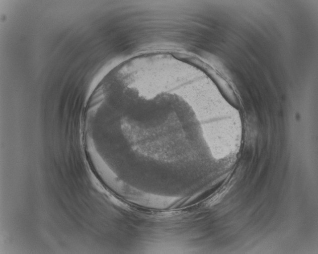 X0000067891390200605111840