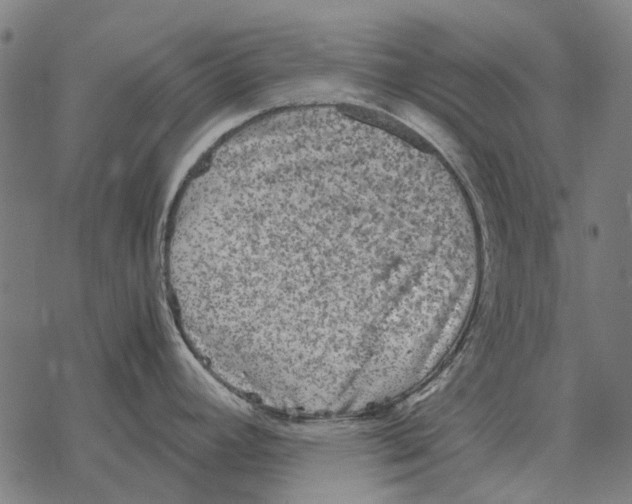 X0000067891392200605111839