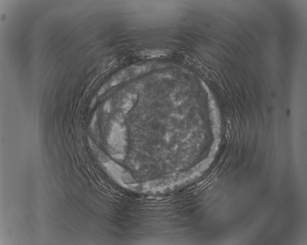 X0000067891393200605111839