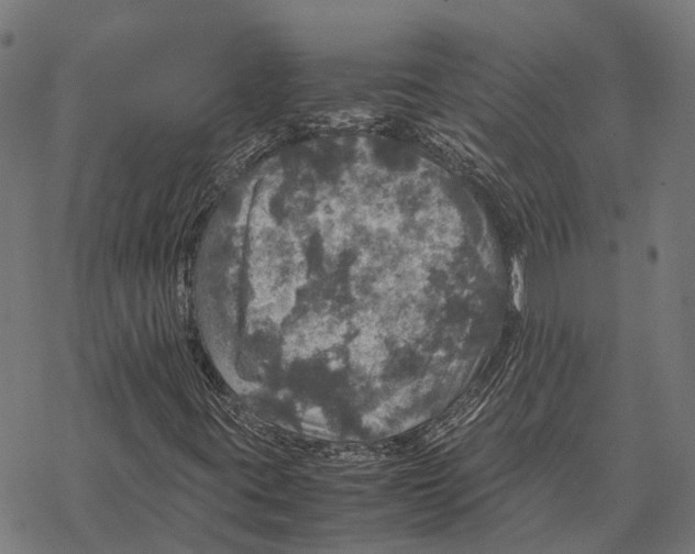 X0000067891395200605111839