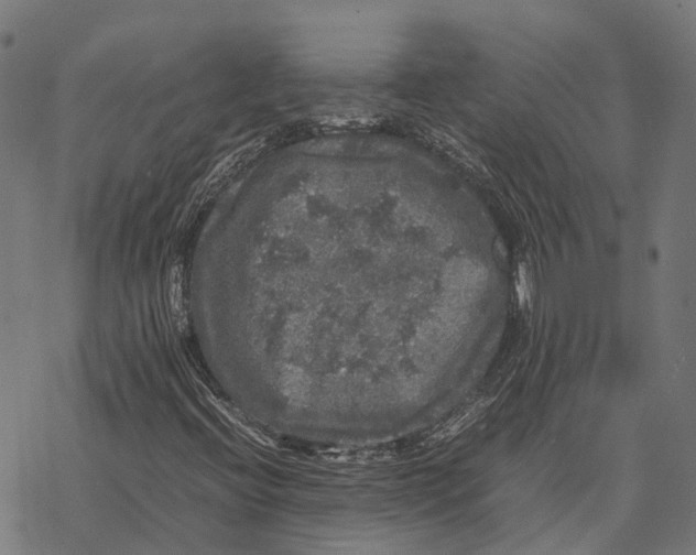 X0000067891396200605111839