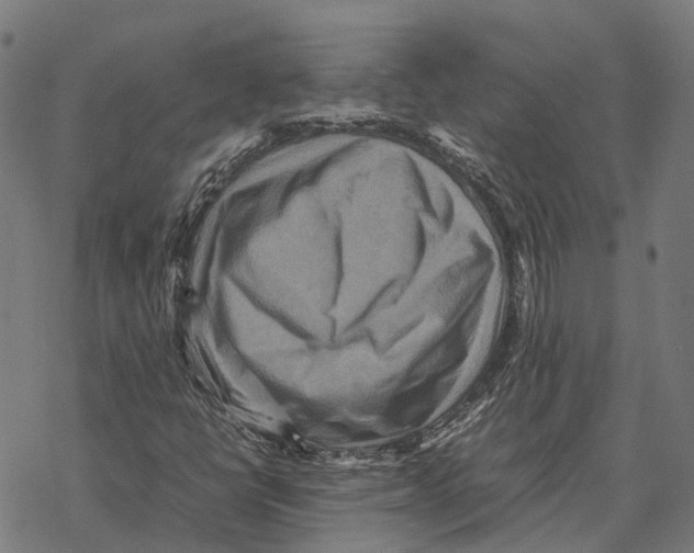 X0000067891398200605111839