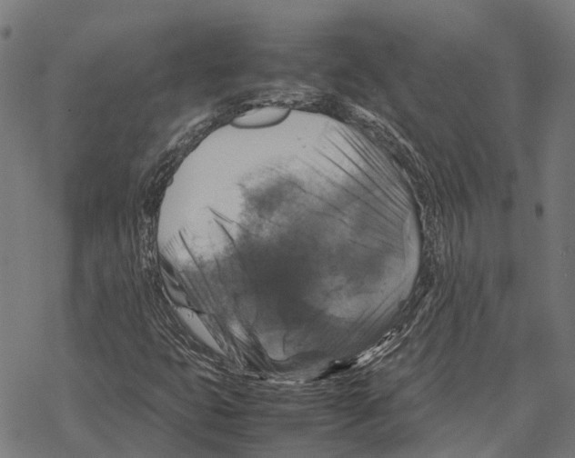 X0000067891399200605111839