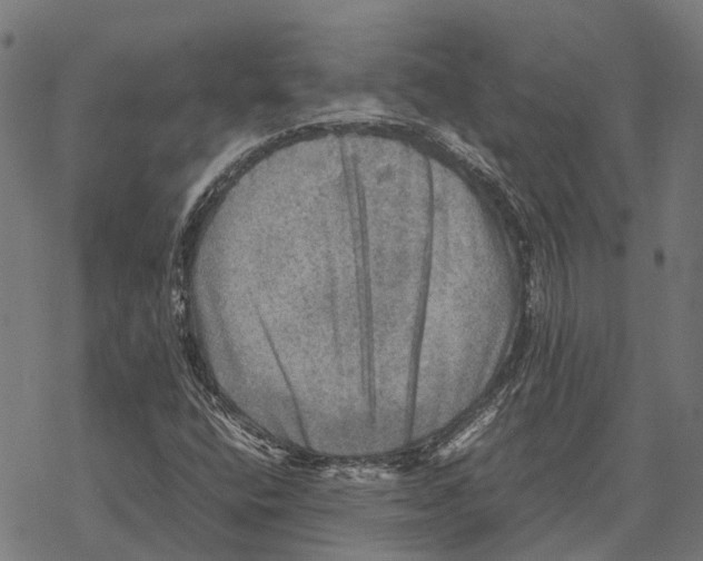 X0000067891400200605111839