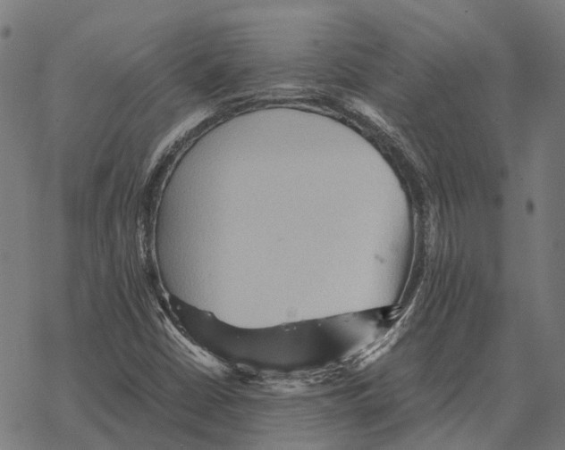 X0000067891402200605111839