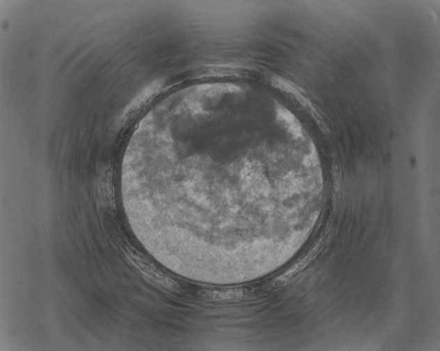 X0000067891403200605111839