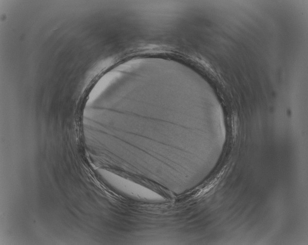 X0000067891405200605111839