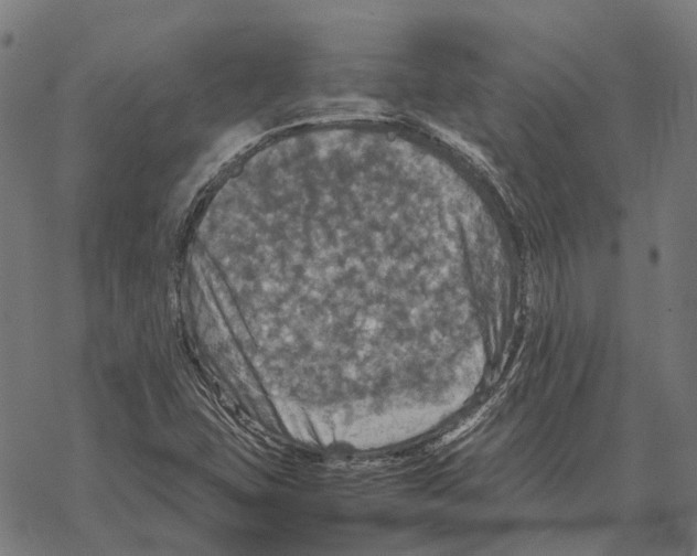 X0000067891407200605111839