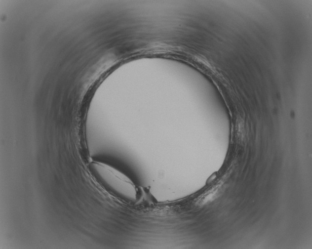 X0000067891410200605111839